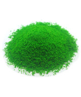 Posypka, mech, krzaczki - intensywna zieleń