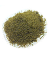 Posypka, mech, krzaczki - piaskowa zieleń