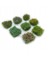 Kępki trawy, krzaczki, trawa, kwiatki, zestaw 8 sztuk