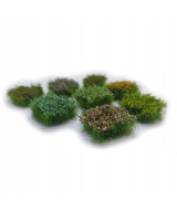 Kępki trawy, krzaczki, trawa, kwiatki, zestaw 8 sztuk