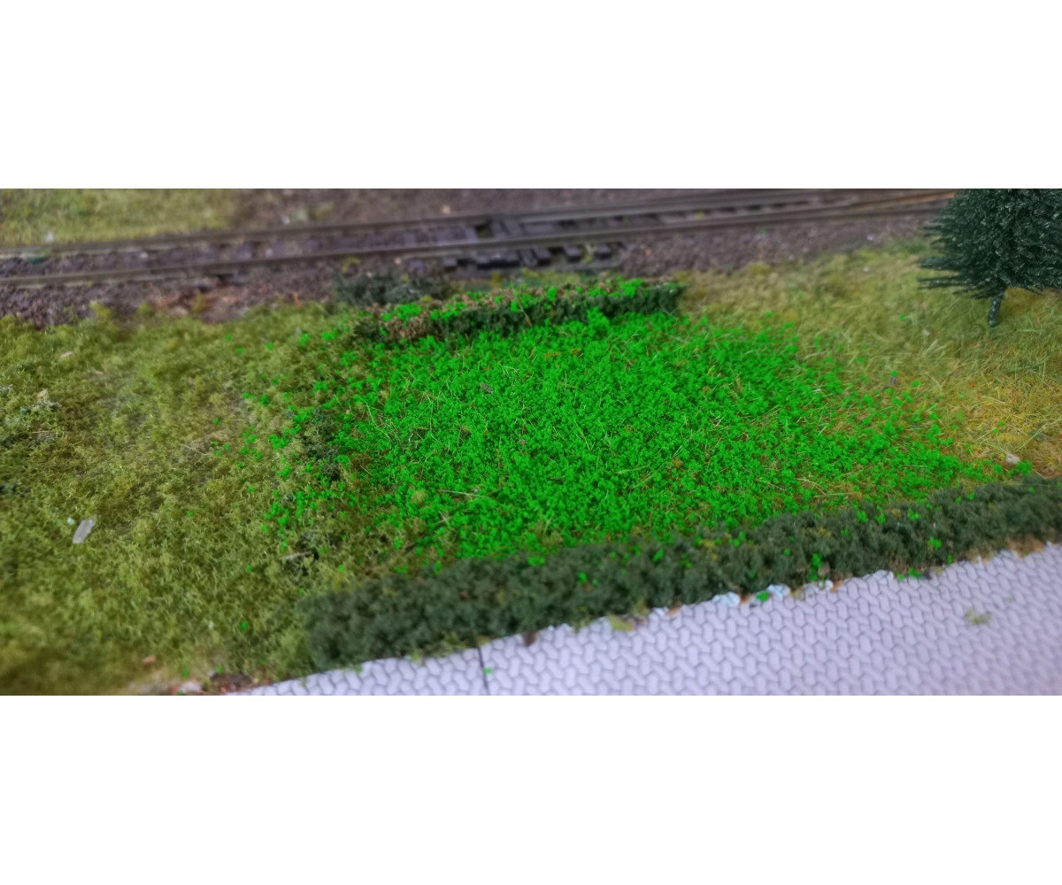 Posypka, mech, krzaczki - intensywna zieleń