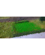 Posypka, mech, krzaczki - intensywna zieleń