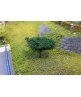 Posypka liście drzew - ciemna zieleń