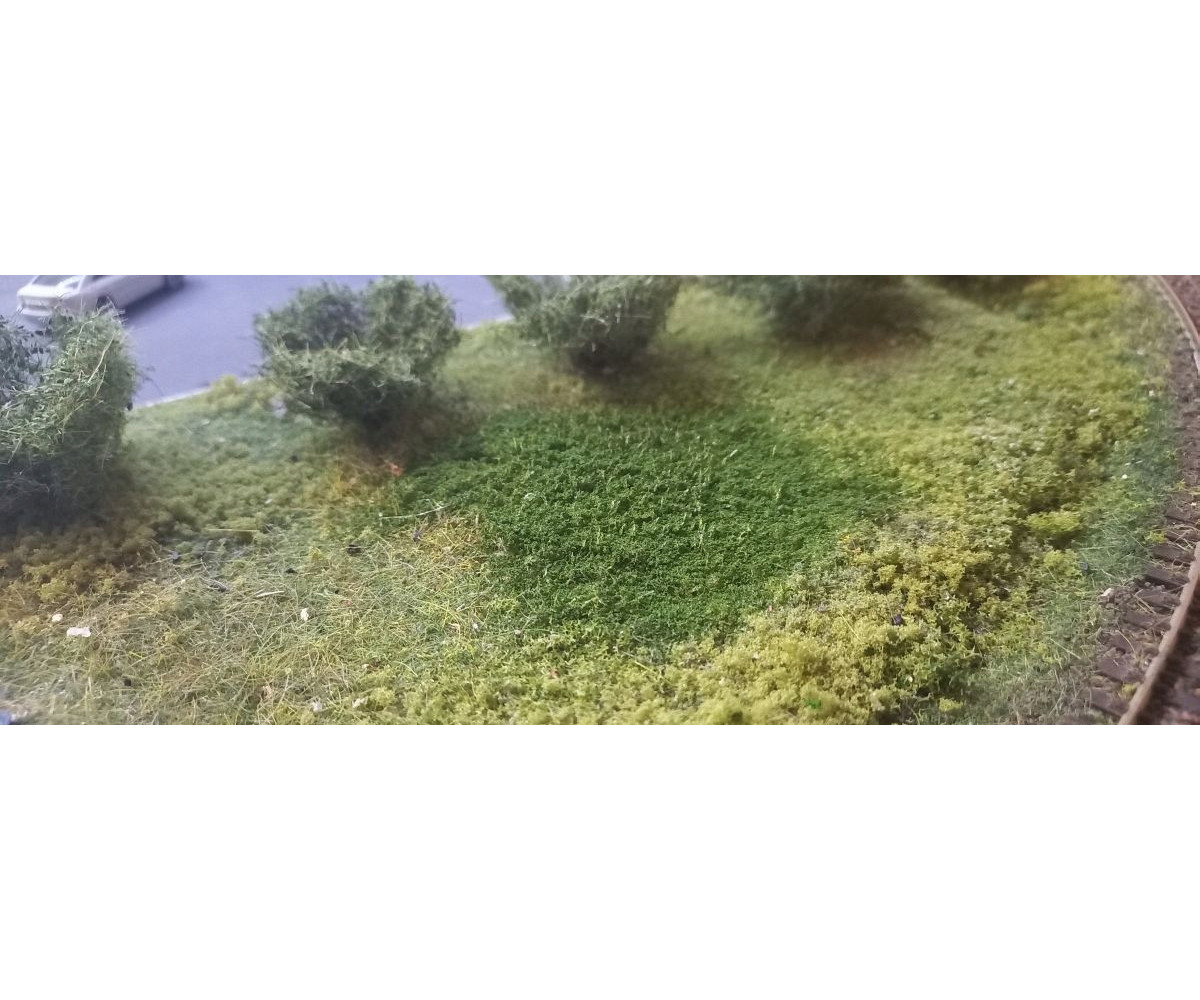 Posypka, mech, krzaczki - średnia zieleń