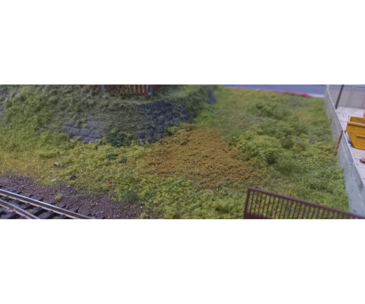 Posypka, mech, krzaczki - piaskowa zieleń