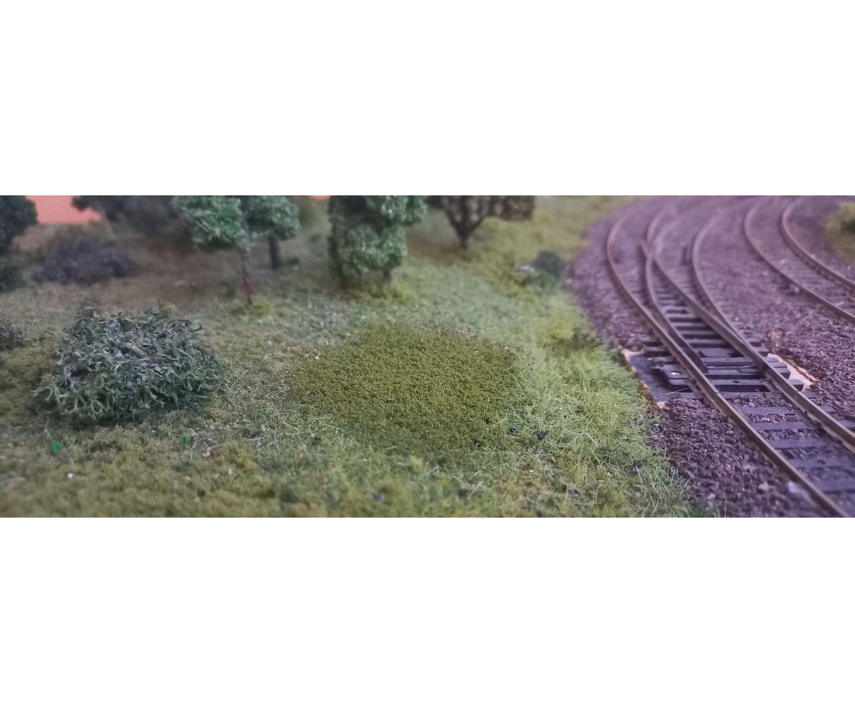 Posypka, mech, krzaczki - oliwkowa zieleń