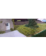 Posypka, mech, krzaczki - jasna zieleń