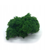 Krzaki, krzewy, gąbka, krzaczki na makietę średnia zieleń