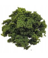 Krzaki, krzewy, gąbka, krzaczki na makietę jasna zieleń